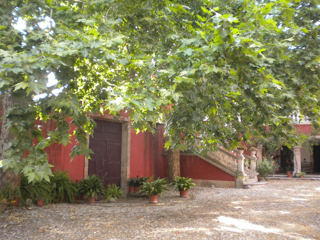 Casa Dos Vargos Bed & Breakfast Torres Novas Dış mekan fotoğraf